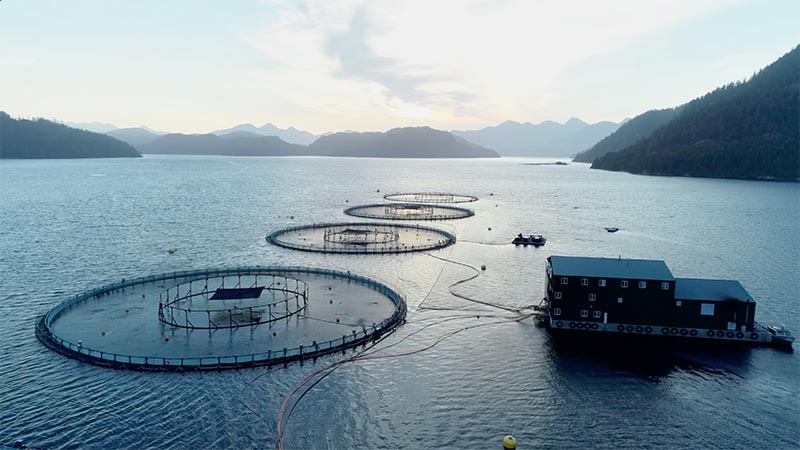 Cargill - Sustainable Aquaculture - Kevin McKeever, Producer and ...