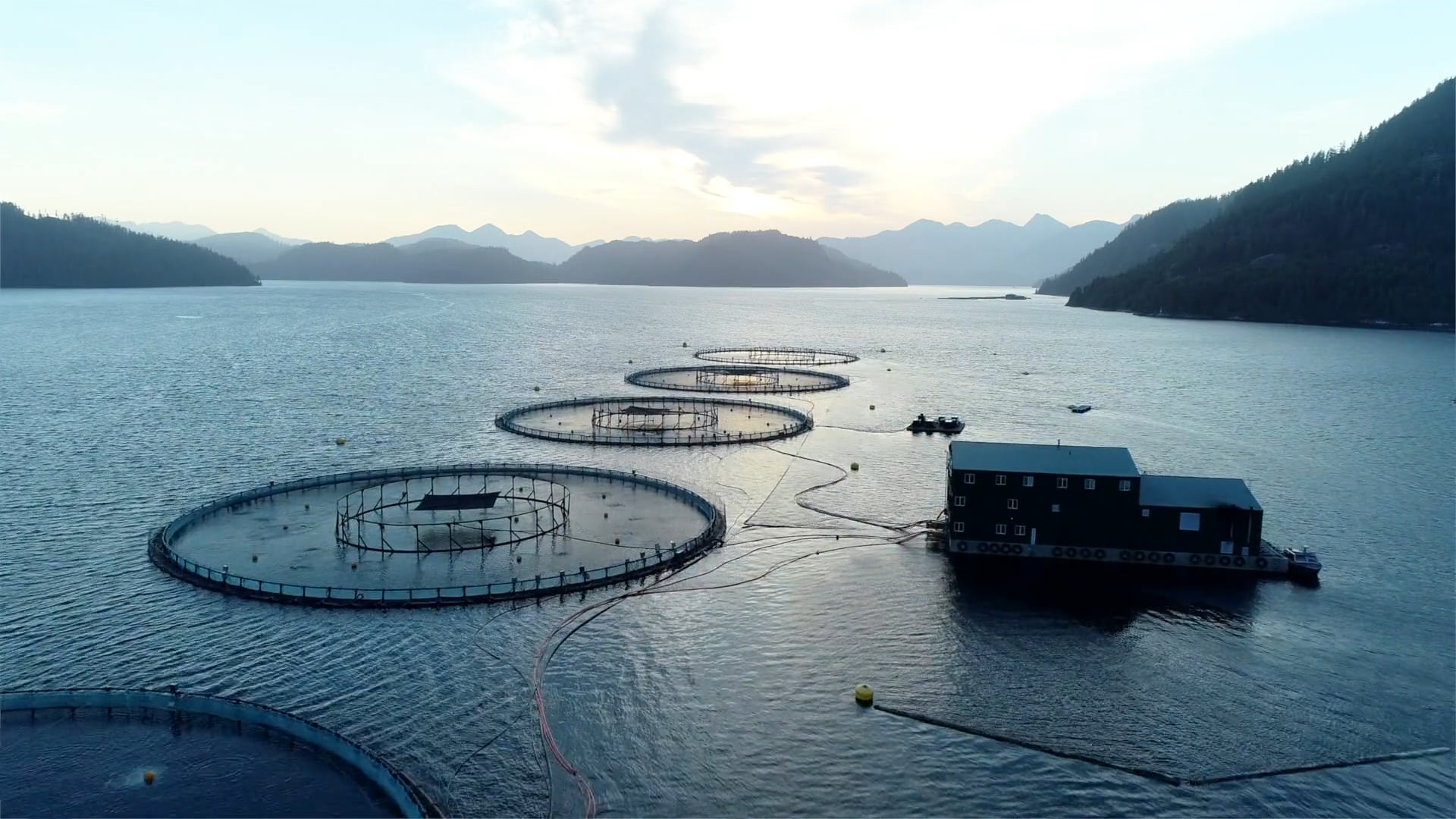 Cargill - Sustainable Aquaculture